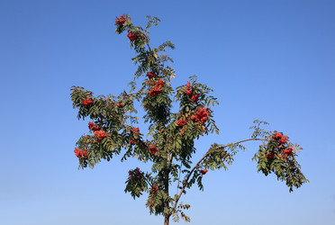 Similar image 21501802