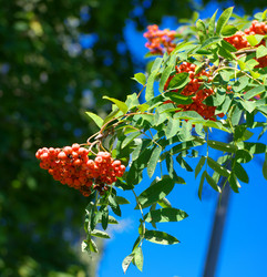 Similar image 21501805