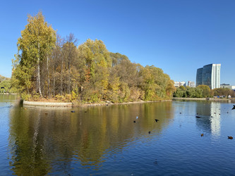 Similar image 21501806