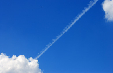 Similar image 21501809