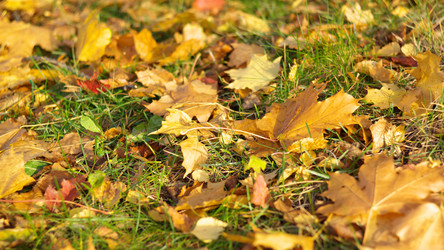 Similar image 21501825