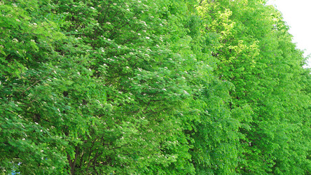 Similar image 21501827