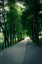 Similar image 21499058