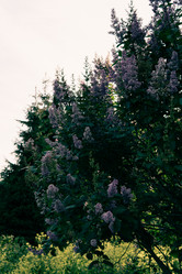 Similar image 21499061