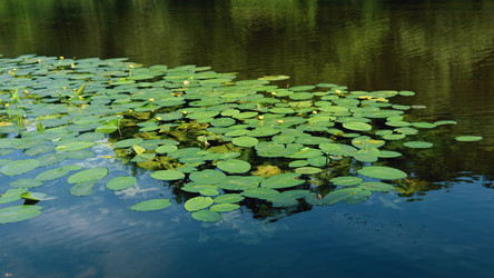 Similar image 21499077