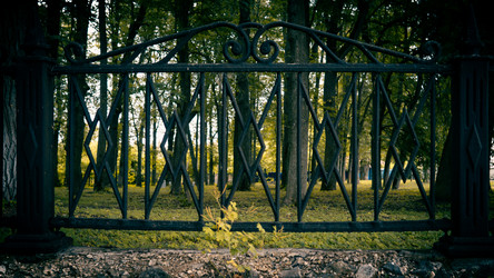 Similar image 21499079