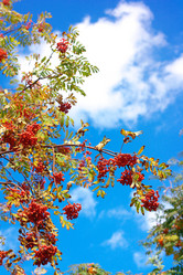 Similar image 21501694