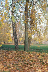 Similar image 21501695