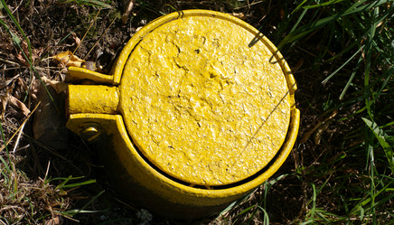 Similar image 21501700