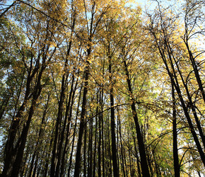 Similar image 21501702