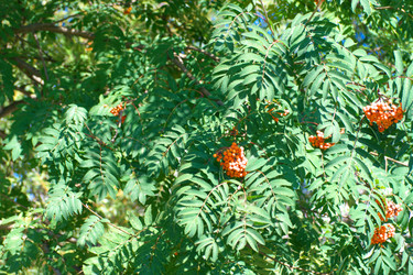 Similar image 21501704