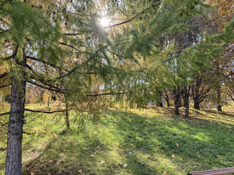 Similar image 21501705