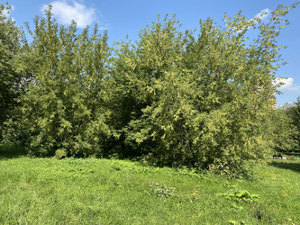 Similar image 21501711