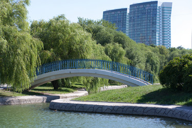 Similar image 21501714