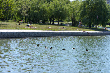 Similar image 21501715