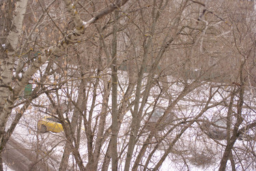 Similar image 21501716