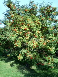 Similar image 21501719