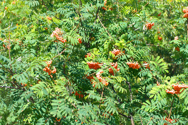 Similar image 21501720