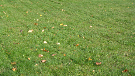 Similar image 21501723