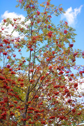 Similar image 21501726