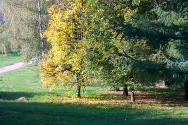 Similar image 21501730