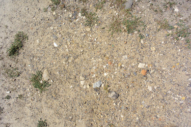 Similar image 21501731