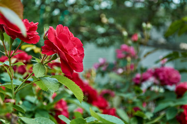 Similar image 21498909