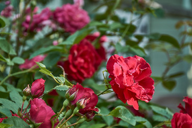 Similar image 21498910