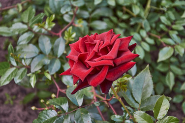 Similar image 21498913