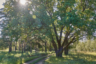 Similar image 21498914