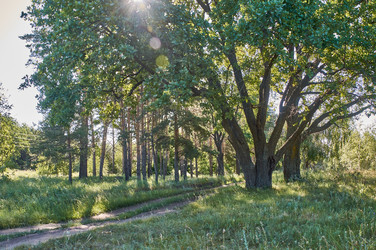 Similar image 21498915