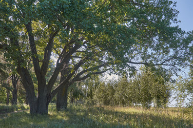 Similar image 21498916