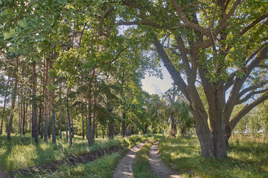 Similar image 21498917