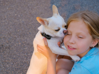 Similar image 21499082