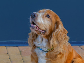 Similar image 21499094