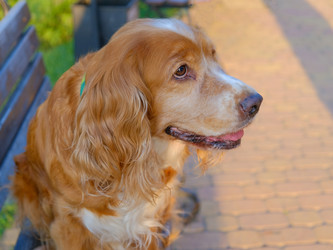 Similar image 21499095