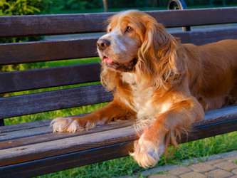 Similar image 21499096