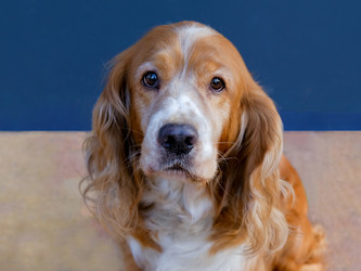 Similar image 21499097