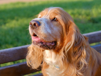 Similar image 21499098