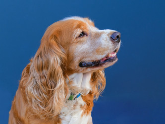 Similar image 21499099