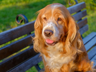 Similar image 21499100