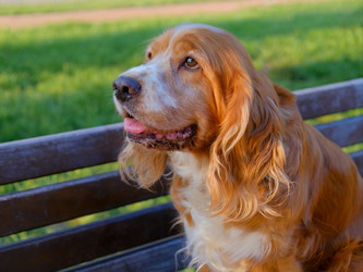 Similar image 21499101