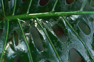 Similar image 21499106