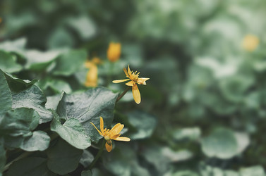 Similar image 21499107