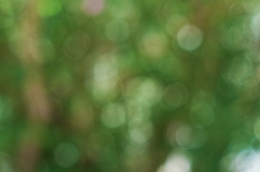 Similar image 21499112