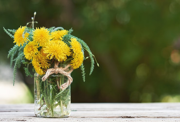 Similar image 21499113