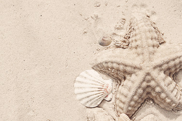 Similar image 21499115