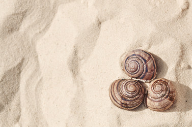 Similar image 21499119