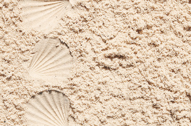 Similar image 21499121