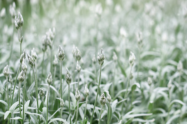 Similar image 21499127